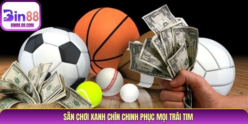 Sân chơi xanh chín chinh phục mọi trái tim